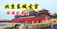鸡鸡插入小穴网站网址中国北京-东城古宫旅游风景区